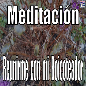 Meditación. Reunirme Con Mi Boicoteador.