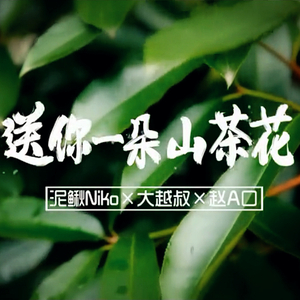 送你一朵山茶花（Cover 好妹妹乐队）