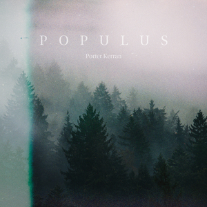 Populus
