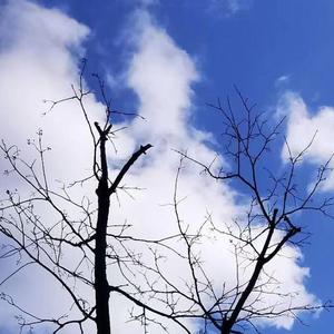 时光定格你的笑