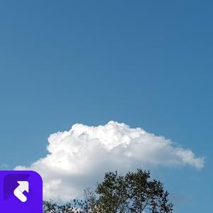 半生已过我认了命