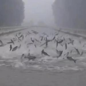 我讨厌长春最近总是下雨