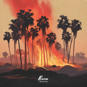 Burn