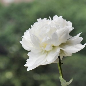 见与不见
