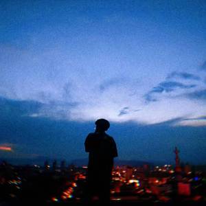 再见吧 喵小姐（翻自 小石头和孩子们）