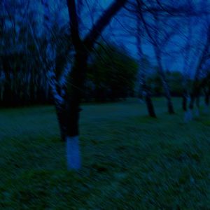 The Radiance of Dreams