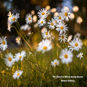 따뜻한 봄바람소리