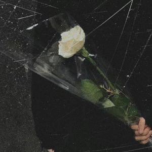 一生短暂 愿你良人相伴