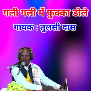 Gali gali mein pukka dole