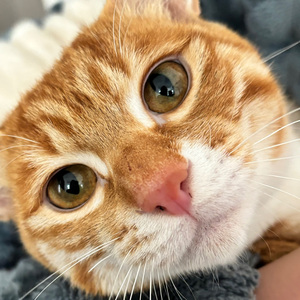 争吵总在纪念日