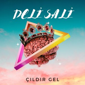 Çıldır Gel