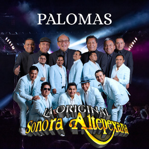 Paloma Sin Nido