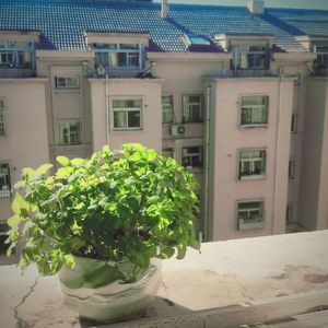 复刻回忆古筝版(COVER: Pianoboy高至豪)