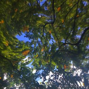 [FREE] Hyper type beat