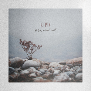 שובר לבבות מקצועי