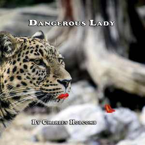 Mysterious Companion