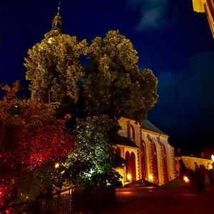 Zombie (feat. Fjern)