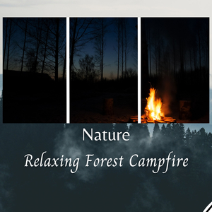 Nature: Relaxing Forest Campfire - 1 Hour