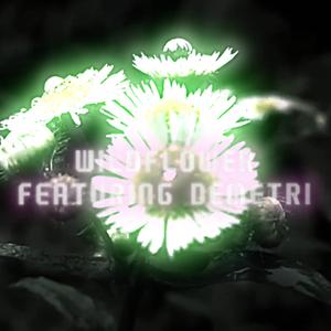 WILDFLOWER (feat. Demetri)