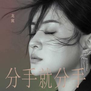 分手就分手