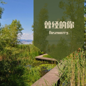 曾经的你(翻自许巍）