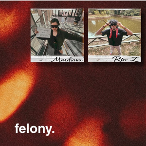 Felony