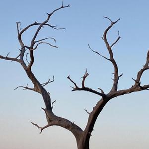 Taxidi (Vocal-less Version)