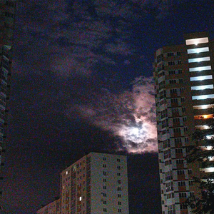 Atarashī Muimina hi