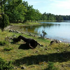 Uva, vår älskade ö