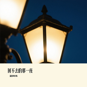 回不去的那一夜