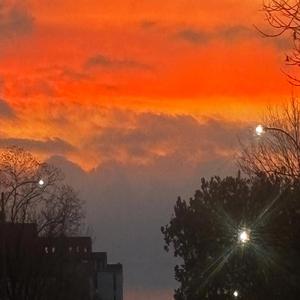 Vroom (More in the Back)