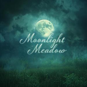 Moonlight Meadow