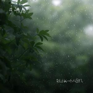 烟雨谣.天涯客