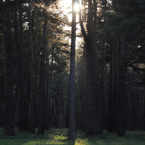 Будем (Акустическая версия)