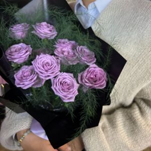 缺席(1.0版)