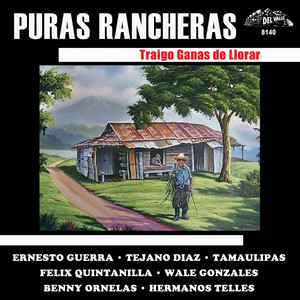 Que Le He De Hacer (Puras Rancheras)