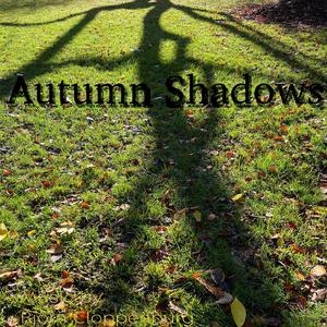 Autumn Shadows