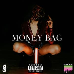 MONEY BAG