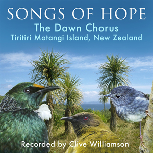 Songs of Hope: The Dawn Chorus, Pt. 4: Hihi & Distant Tieke (Stitchbirds & Saddlebacks) [Wattle Track]
