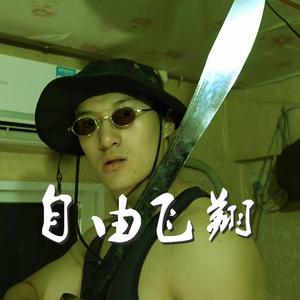 凤凰传奇-自由飞翔——西行悍匪（阿张 remix）