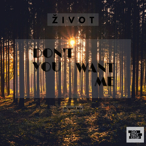 Don't You Want Me (Original Mix)