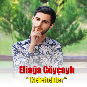 Kelebekler