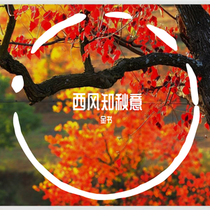 西风知秋意