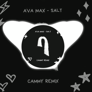 Salt (Cammy remix)