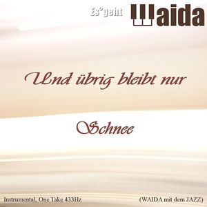 Und übrig bleibt nur Schnee (Waida mit dem Jazz) (Instrumental, One Take 433Hz)