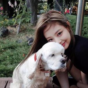 经济舱（翻自 Kafe.Hu）