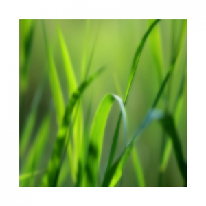 Visit (Original Mix)