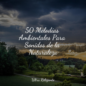 Sueño De Galaxia