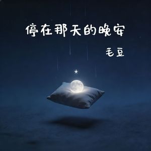 停在那天的晚安