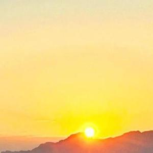 埋葬冬天的秘密